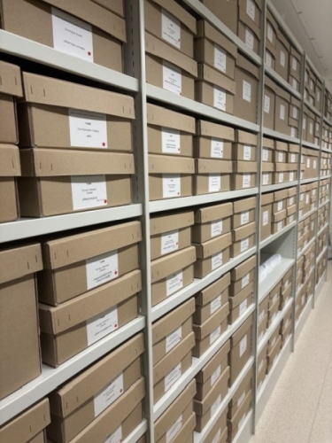 Brown archive boxes neatly stacked on white shelves in a storeroom. Each box features a front-facing label indicating the collection item and its reference number.